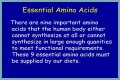 Are You Eating the Right Proteins? Know Your Essential Amino Acids