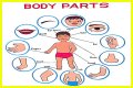 Body part with a pupil