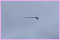 Disturbing video shows floating broom in the middle of the air and the internet is losing its collective mind