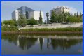 Downtown Fairbanks: What to See & Do