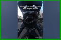 Night Rider Arrested, What Happened To Night Rider?
