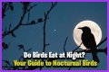 What eats bird food at night?